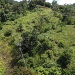 Agricultural land for sale in Marc - Castries