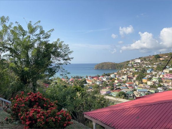 Canaries in Saint Lucia