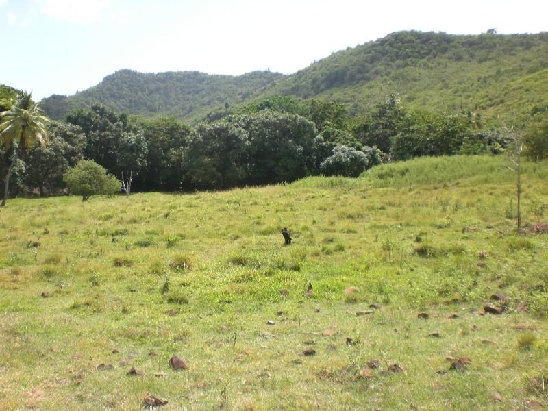 101 Acres of Land For Sale near Dauphin River