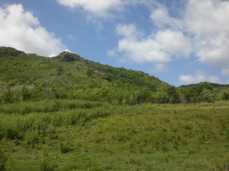 101 Acres of Land For Sale in Dauphin