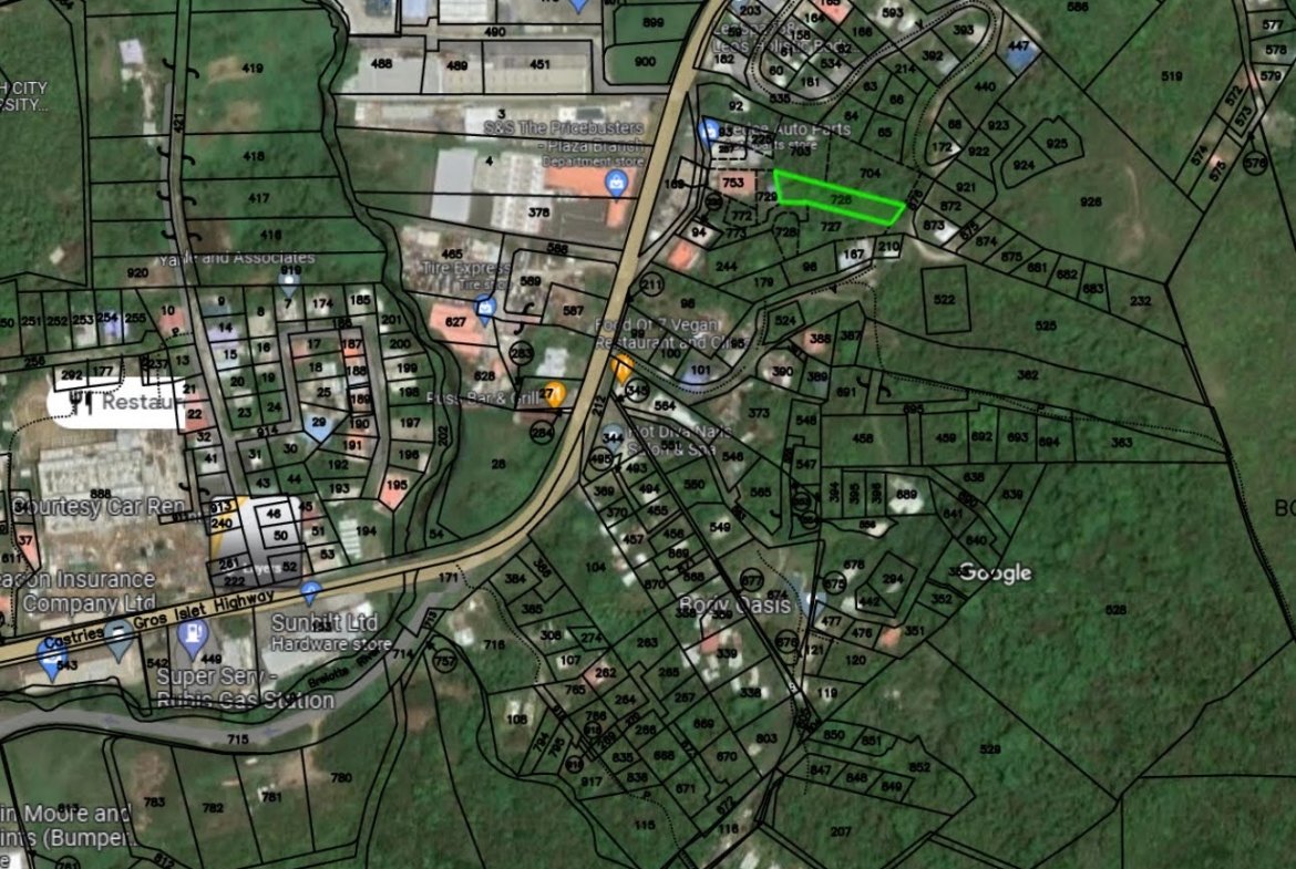Satellite view of Great Valued Land for sale in Bois D'Orange