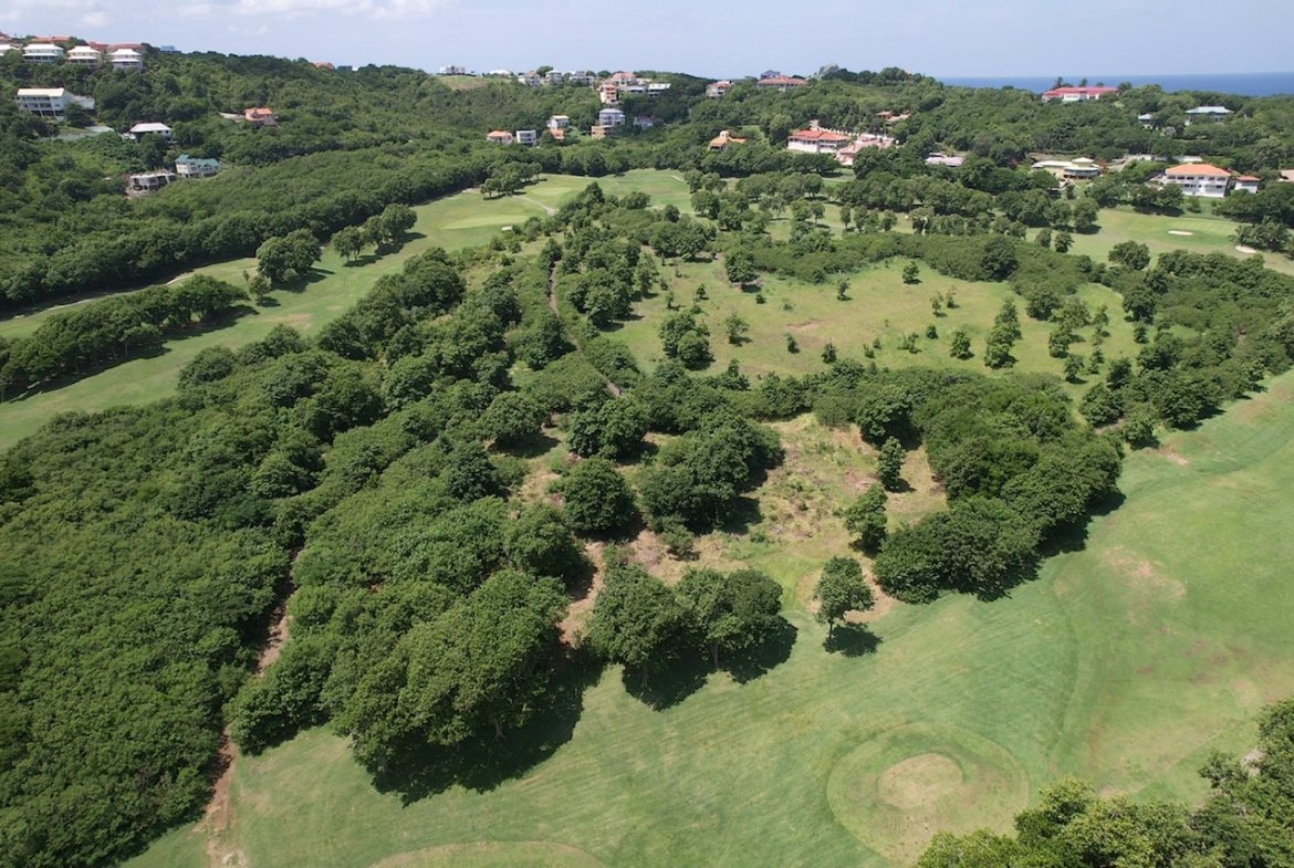 13 Acres of Commercial Land for Sale in Cap Estate