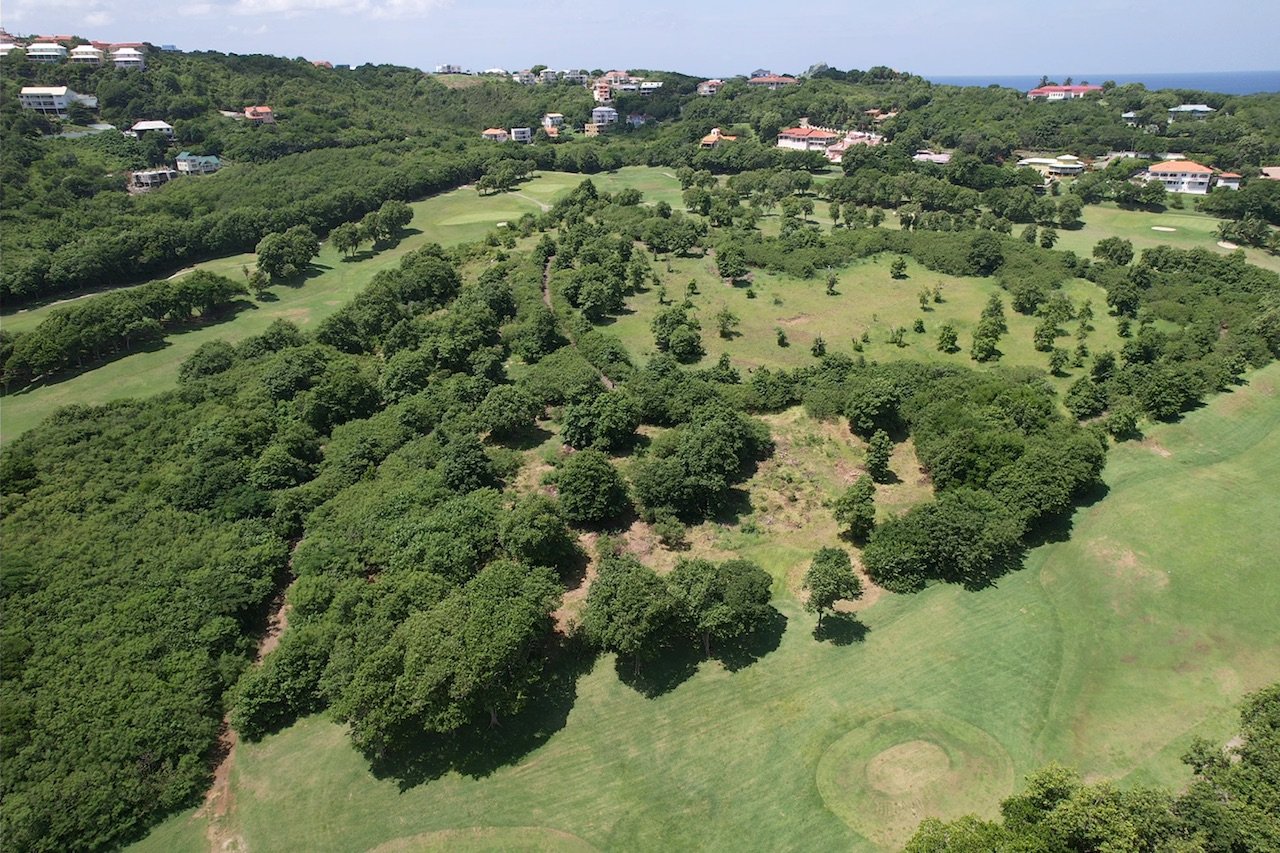 13 Acres of Commercial Land for Sale in Cap Estate