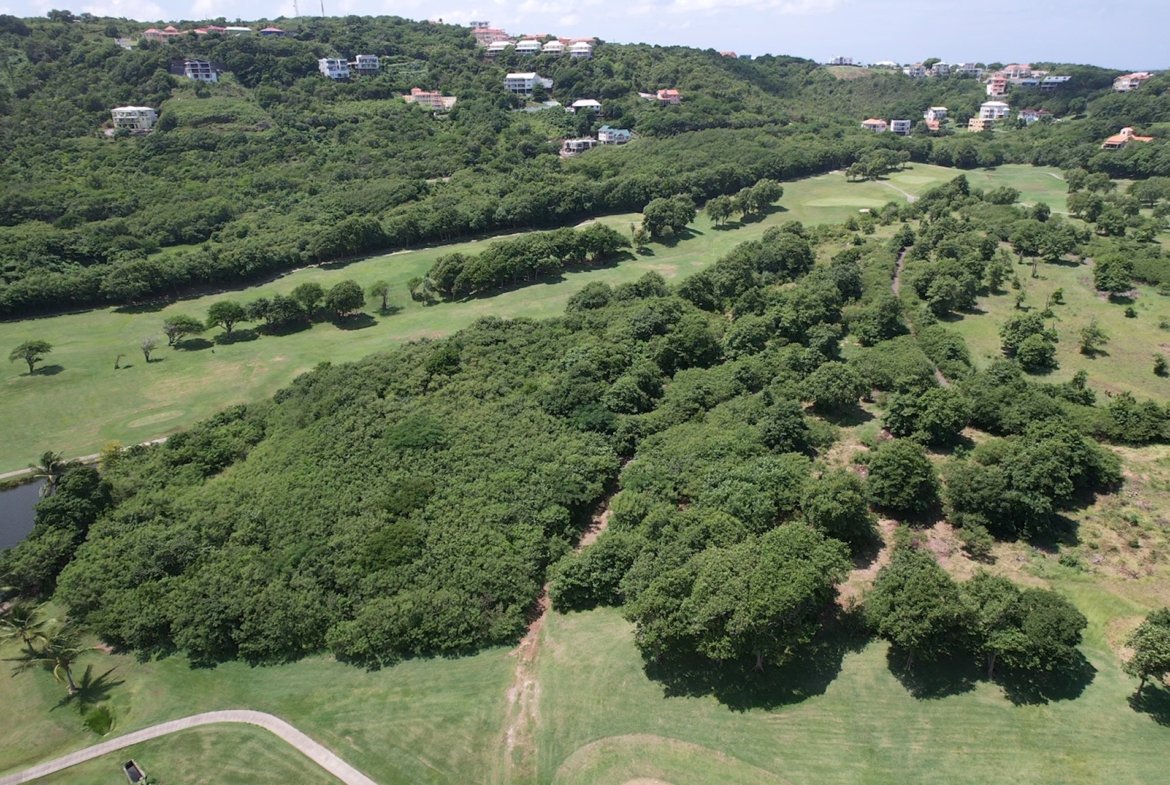 Investment Opportunity in Cap Estate