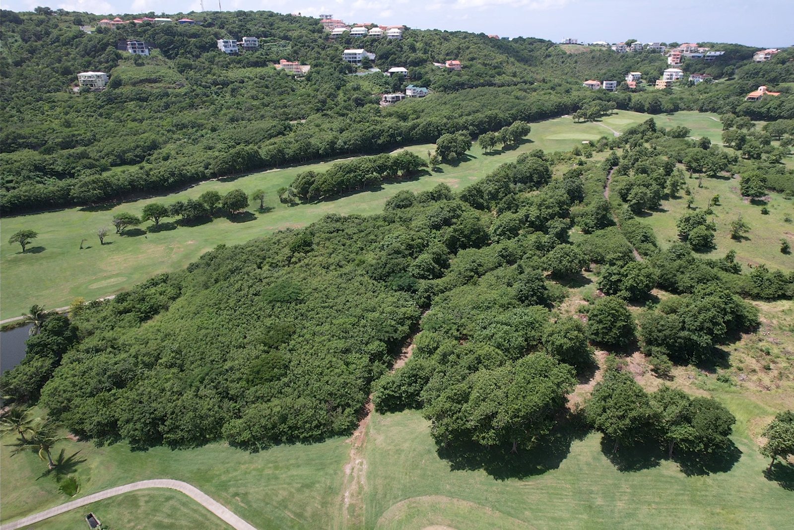 Investment Opportunity in Cap Estate