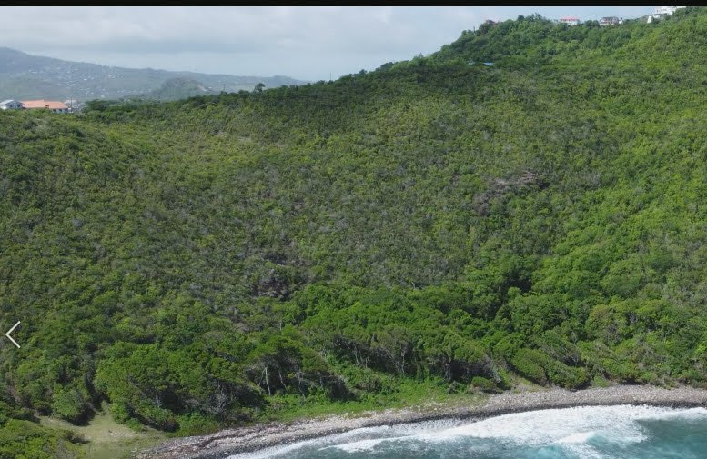 Beachfront land in Moule a Chique