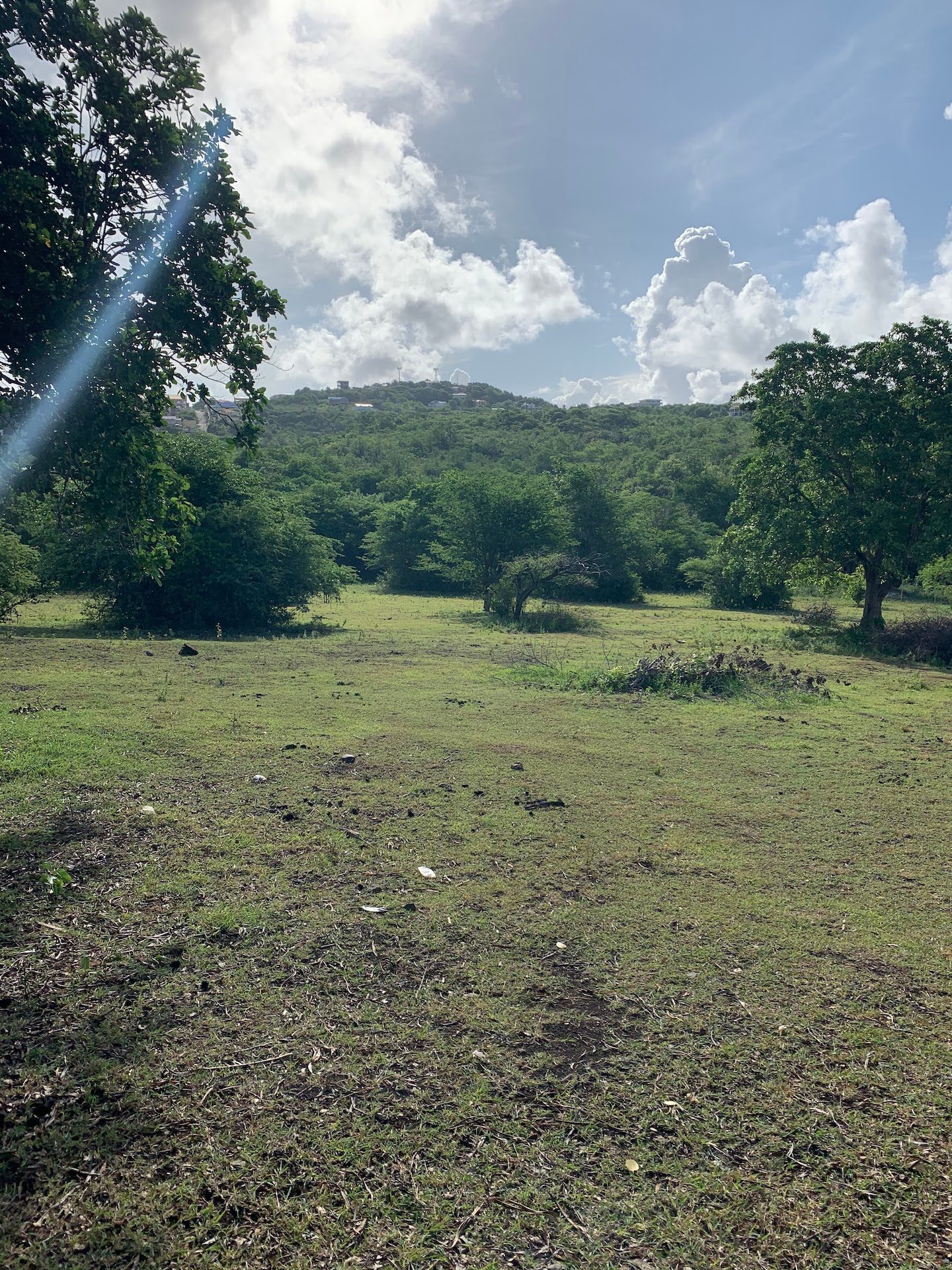 Beautiful Land for Sale in Bellvue