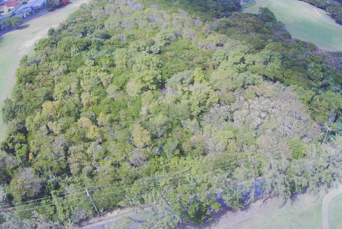 Almost 7 acres of land in Cap Estate, Gros Islet for sale