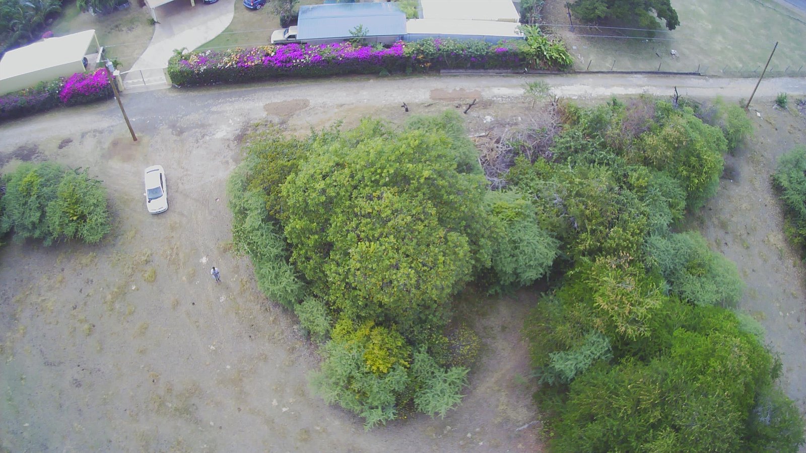 Twin Lots of Real Estate For Sale - Saint Lucia