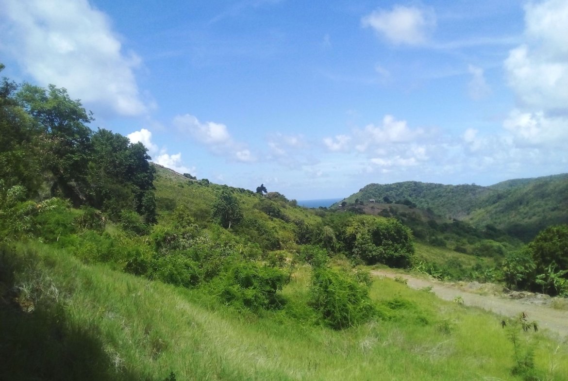 70 Acres of Land for Sale in Dauphin 2