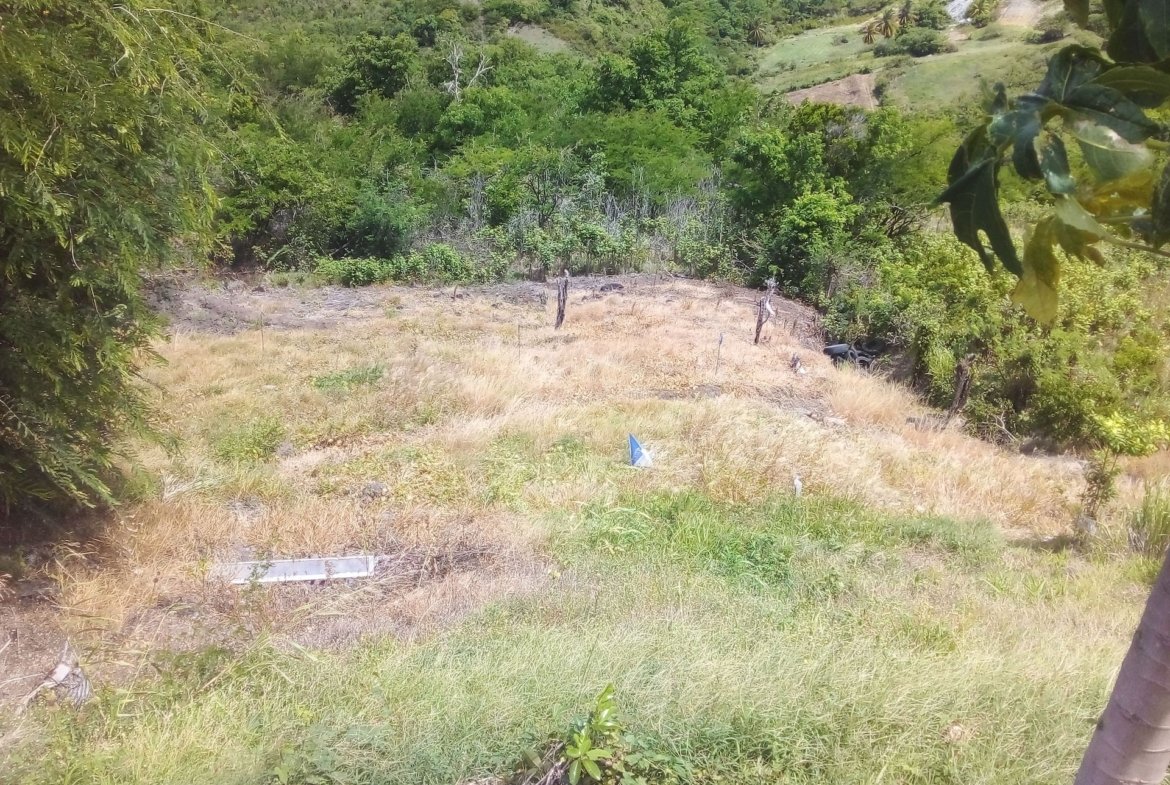 70 Acres of Land for Sale in Dauphin 4