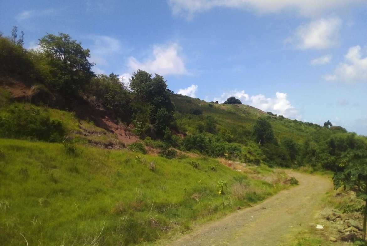 70 Acres of Land for Sale in Dauphin