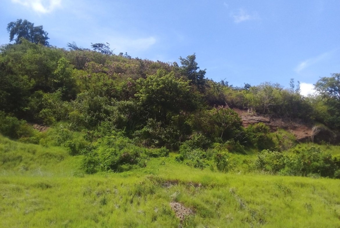 70 Acres of Land for Sale in Dauphin 3