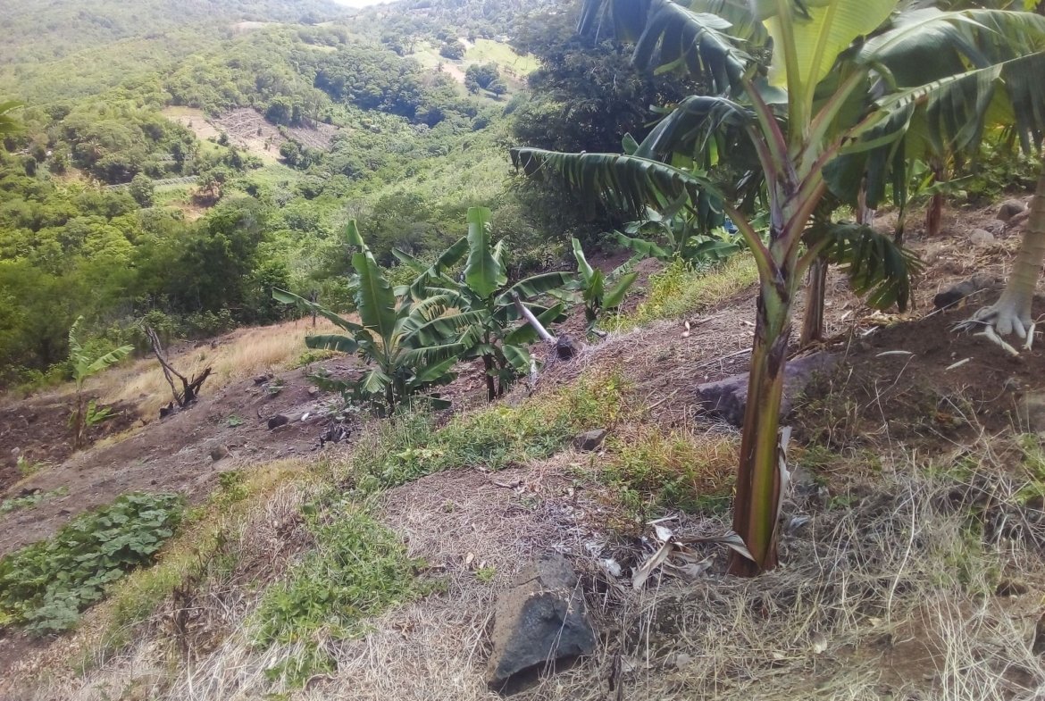 70 Acres of Land for Sale in Dauphin 5