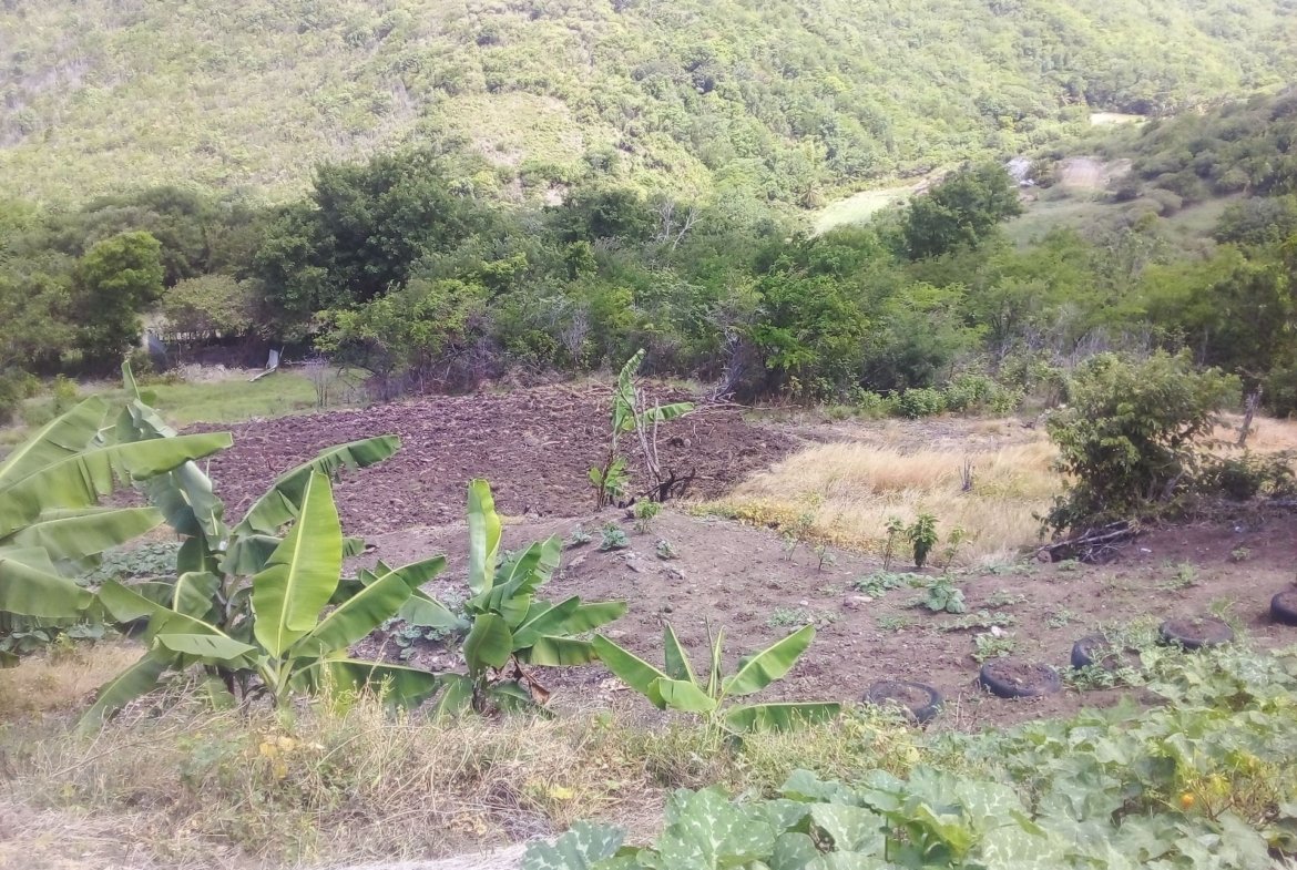 70 Acres of Land for Sale in Dauphin 6