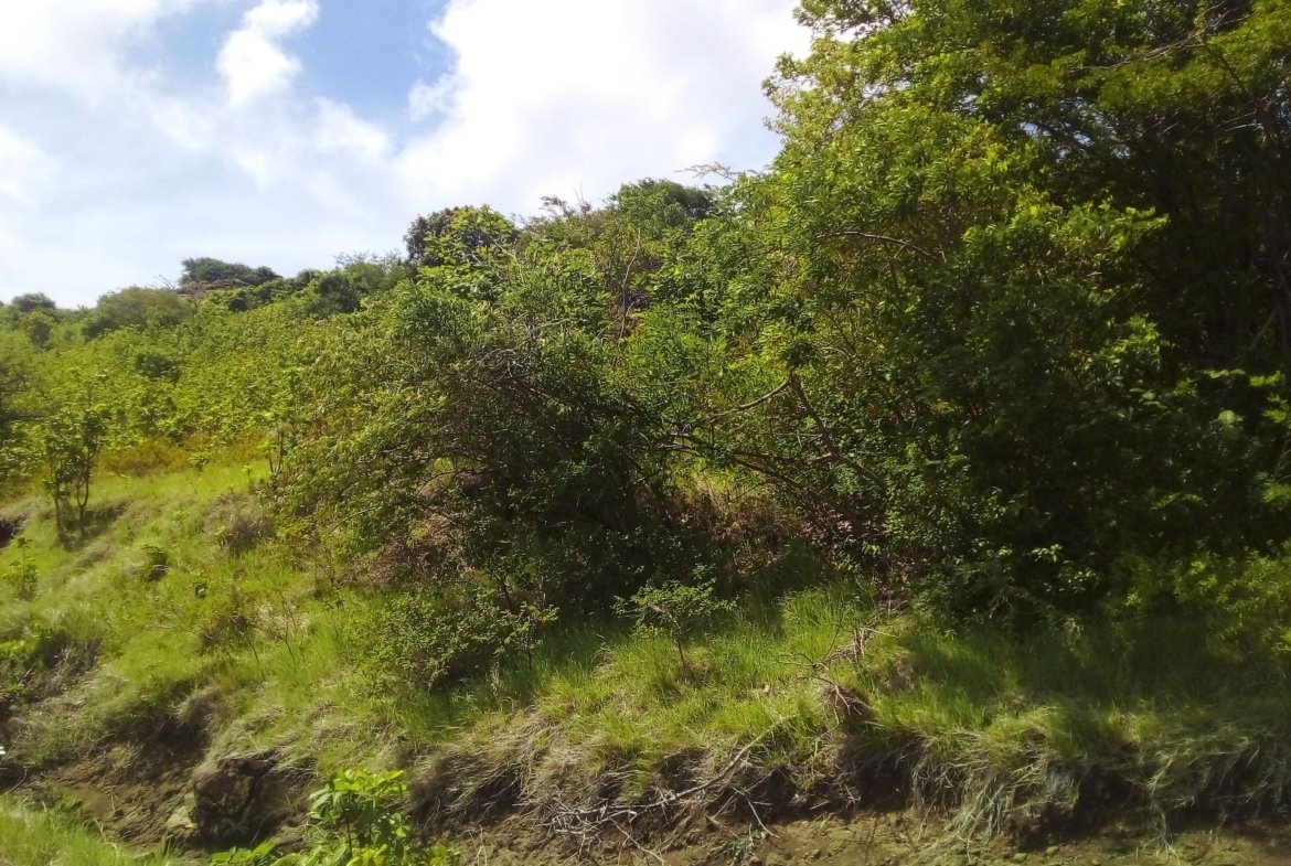 70 Acres of Land for Sale in Dauphin 7