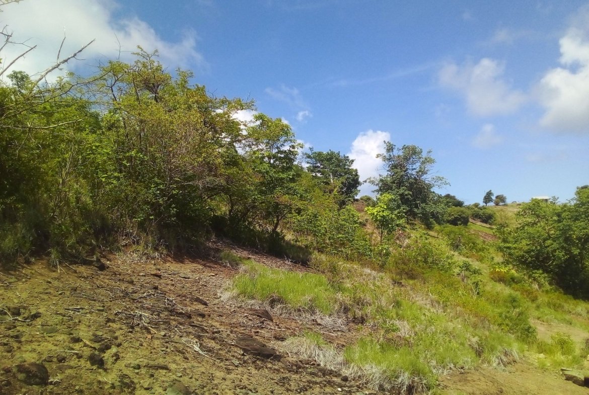 70 Acres of Land for Sale in Dauphin 8