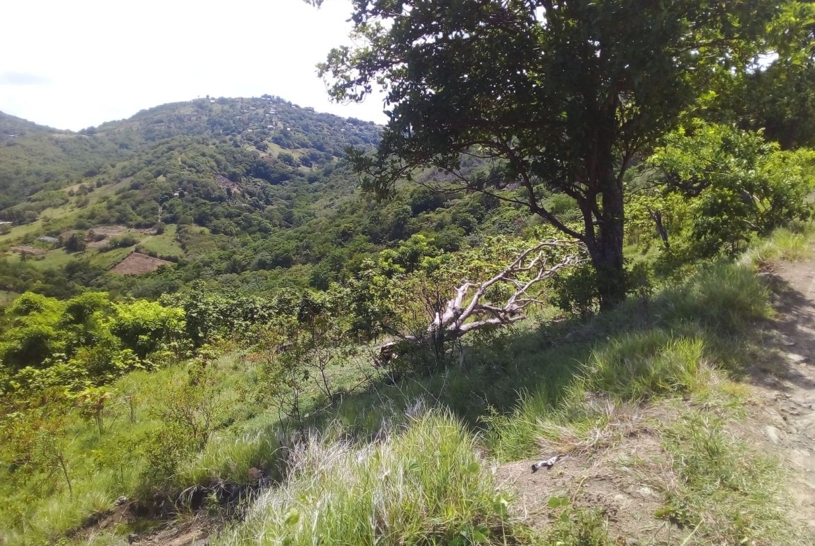 70 Acres of Land for Sale in Dauphin 10
