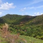 70 Acres of Land for Sale in Dauphin 9