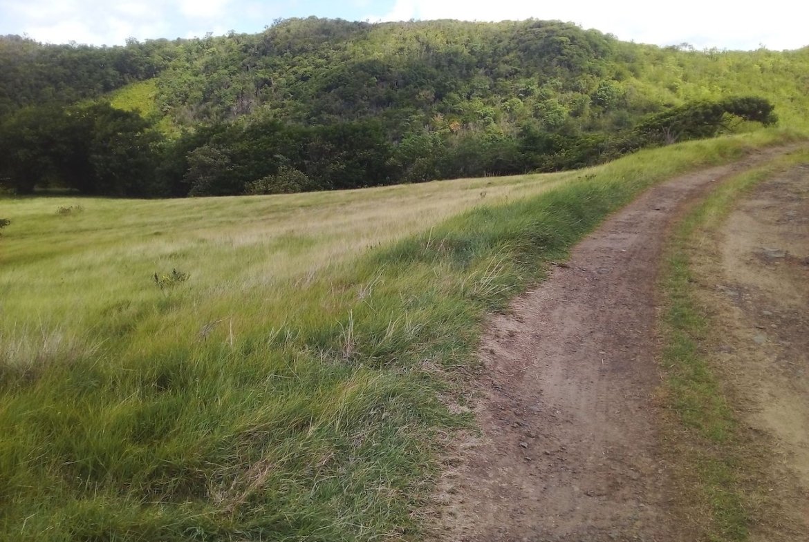 46 acres of land for sale in Gros Islet