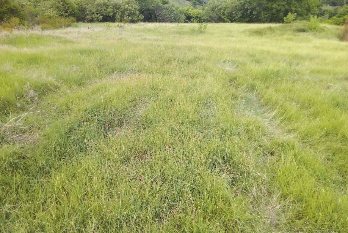 46 acres of land for sale in Dauphin