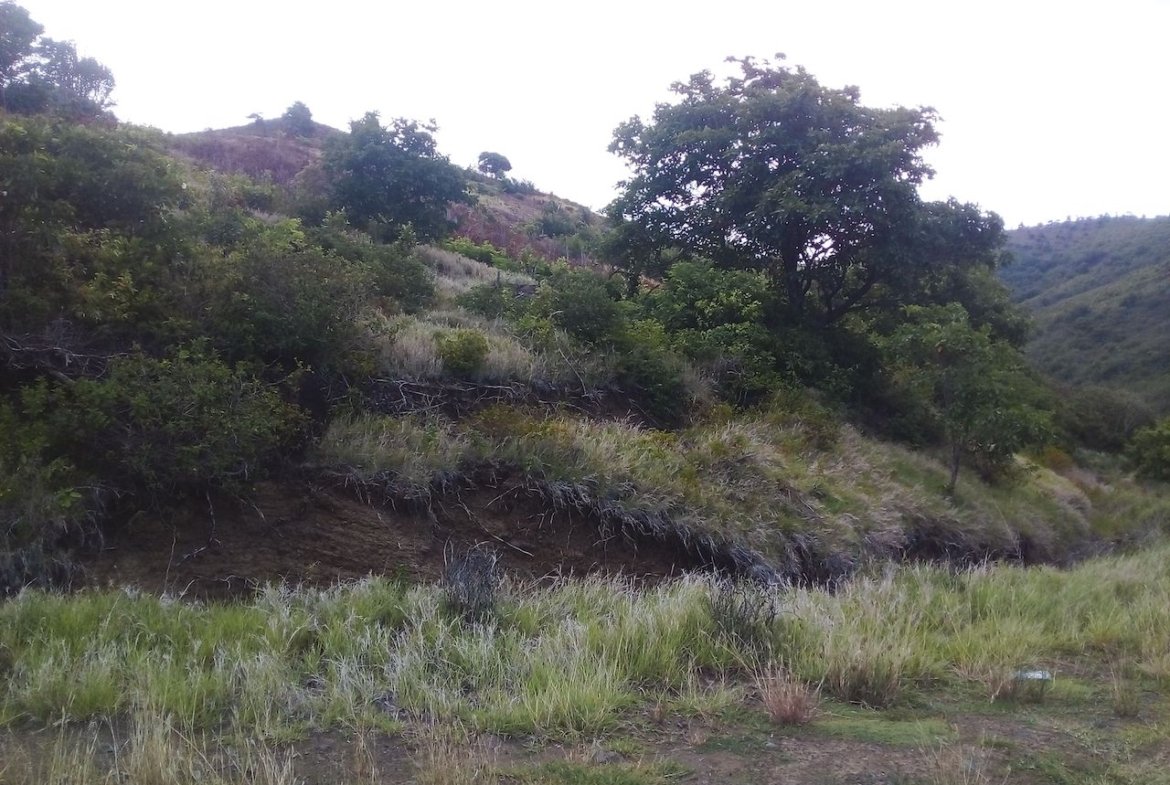 46 acres of land for sale in Gros Islet - Saint Lucia