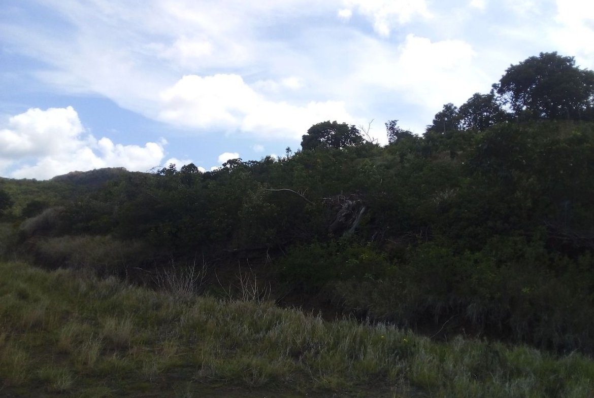 46 acres of land for sale near Dauphin River