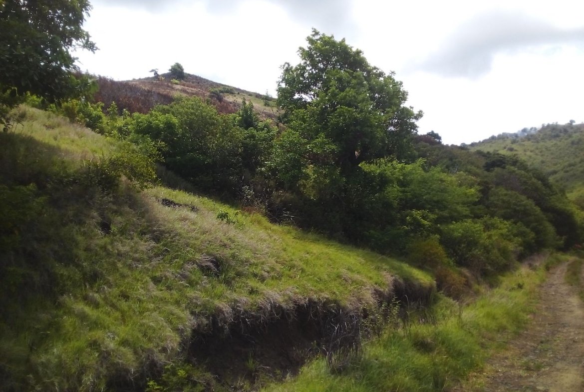 46 acres of land for sale near Dauphin River - Saint Lucia