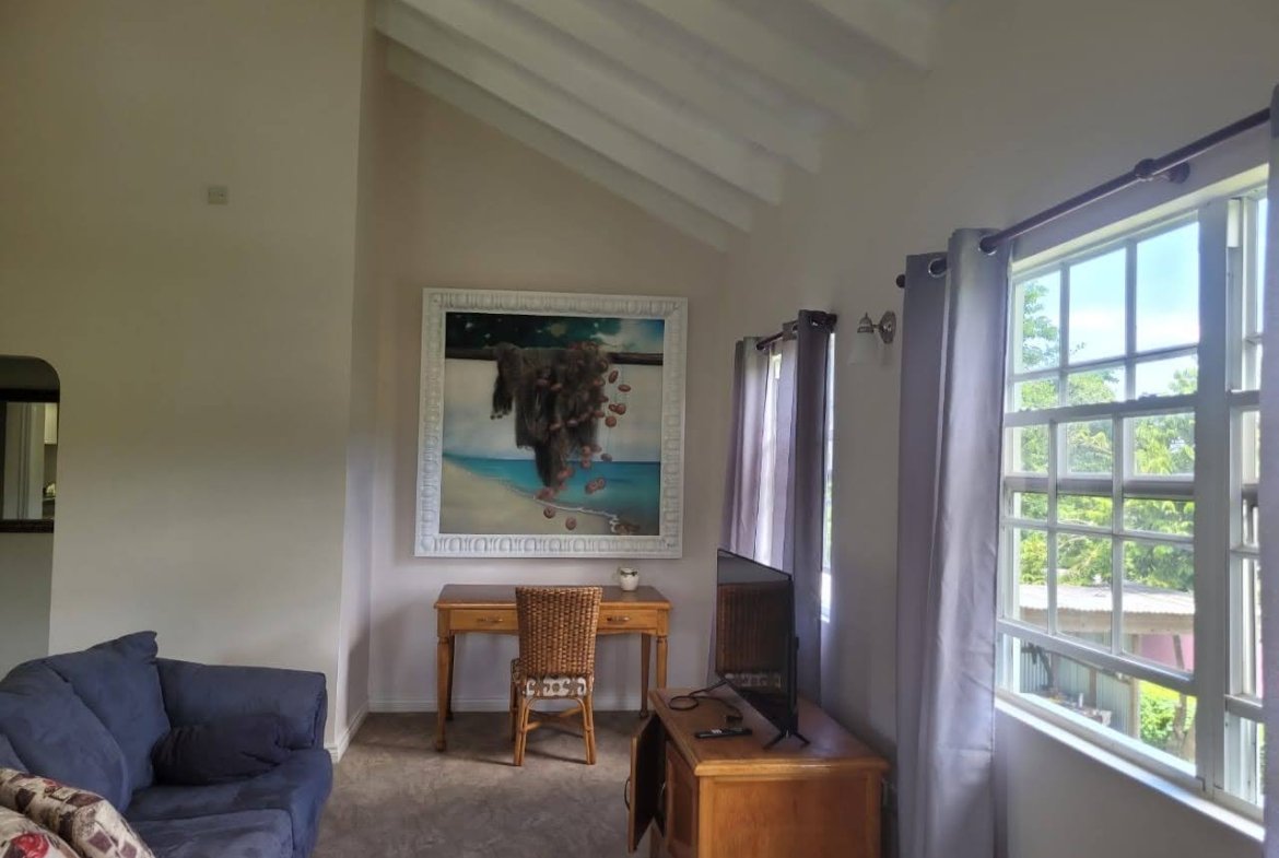 Example Living Room of Investment Apartment for Sale in Bonneterre Gros Islet