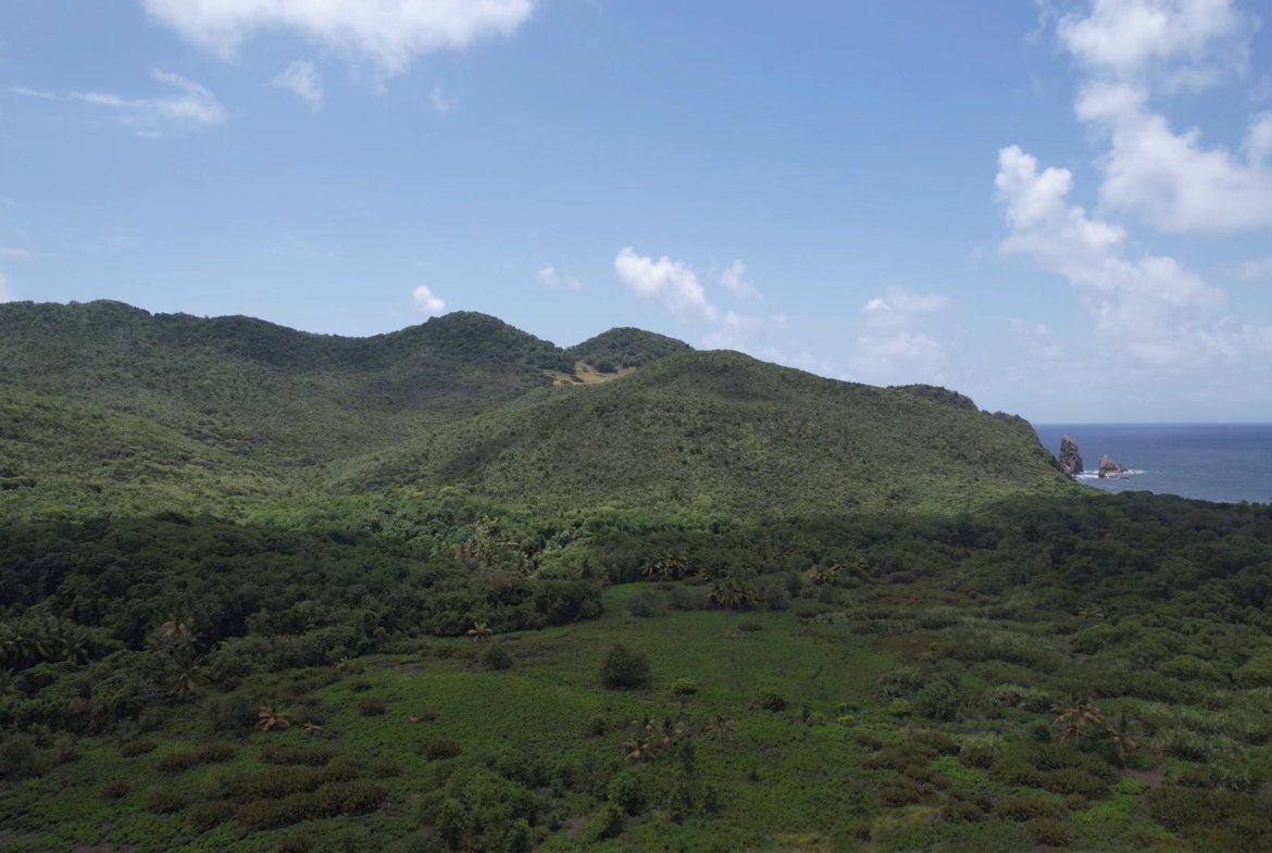 Land For Sale in Dennery