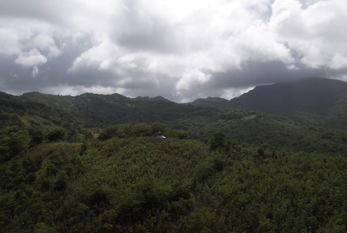 Development Land For Sale in Dennery - Saint Lucia