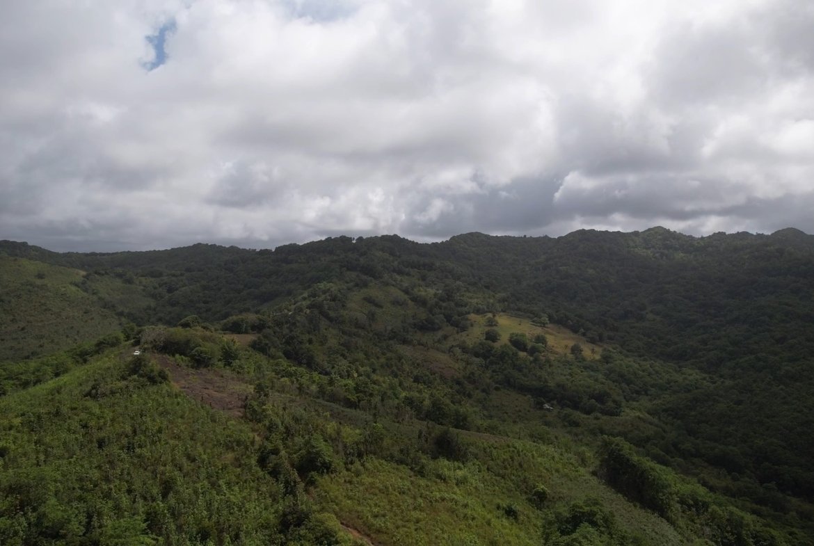 Development Land For Sale in Dennery