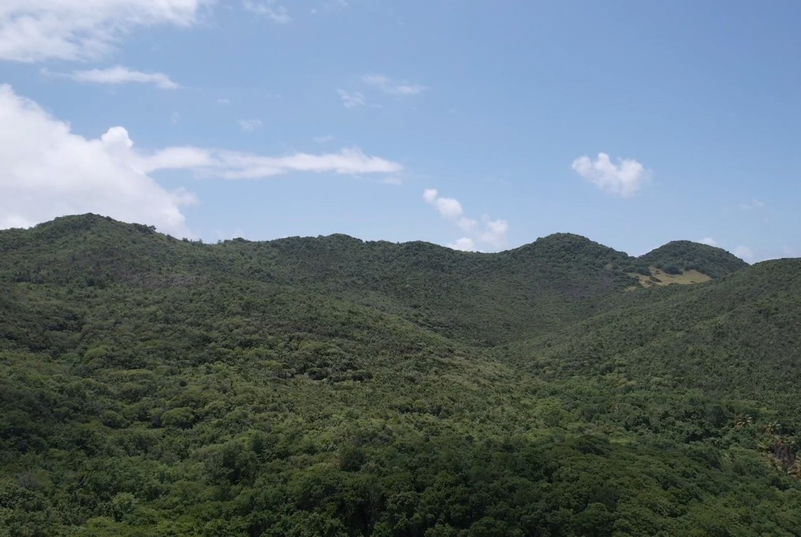 700 acres of Development Land for Sale in Dennery