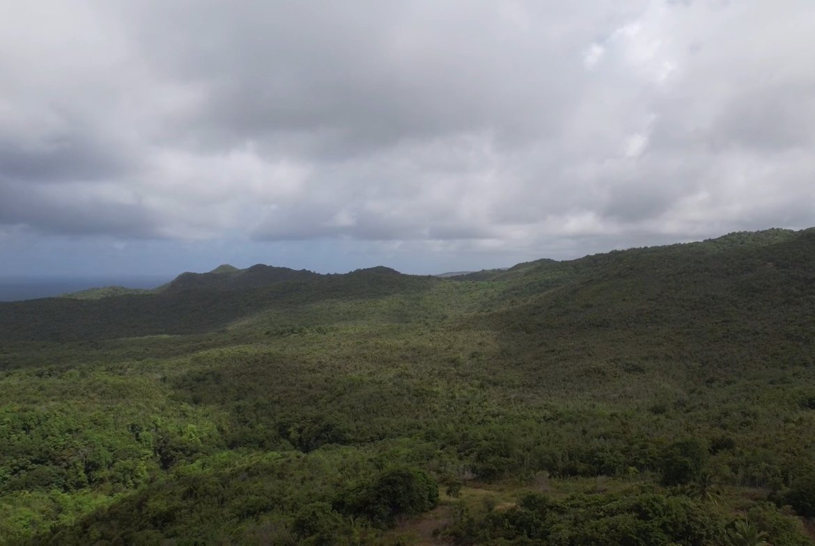 Agricultural Land for Sale in Dennery