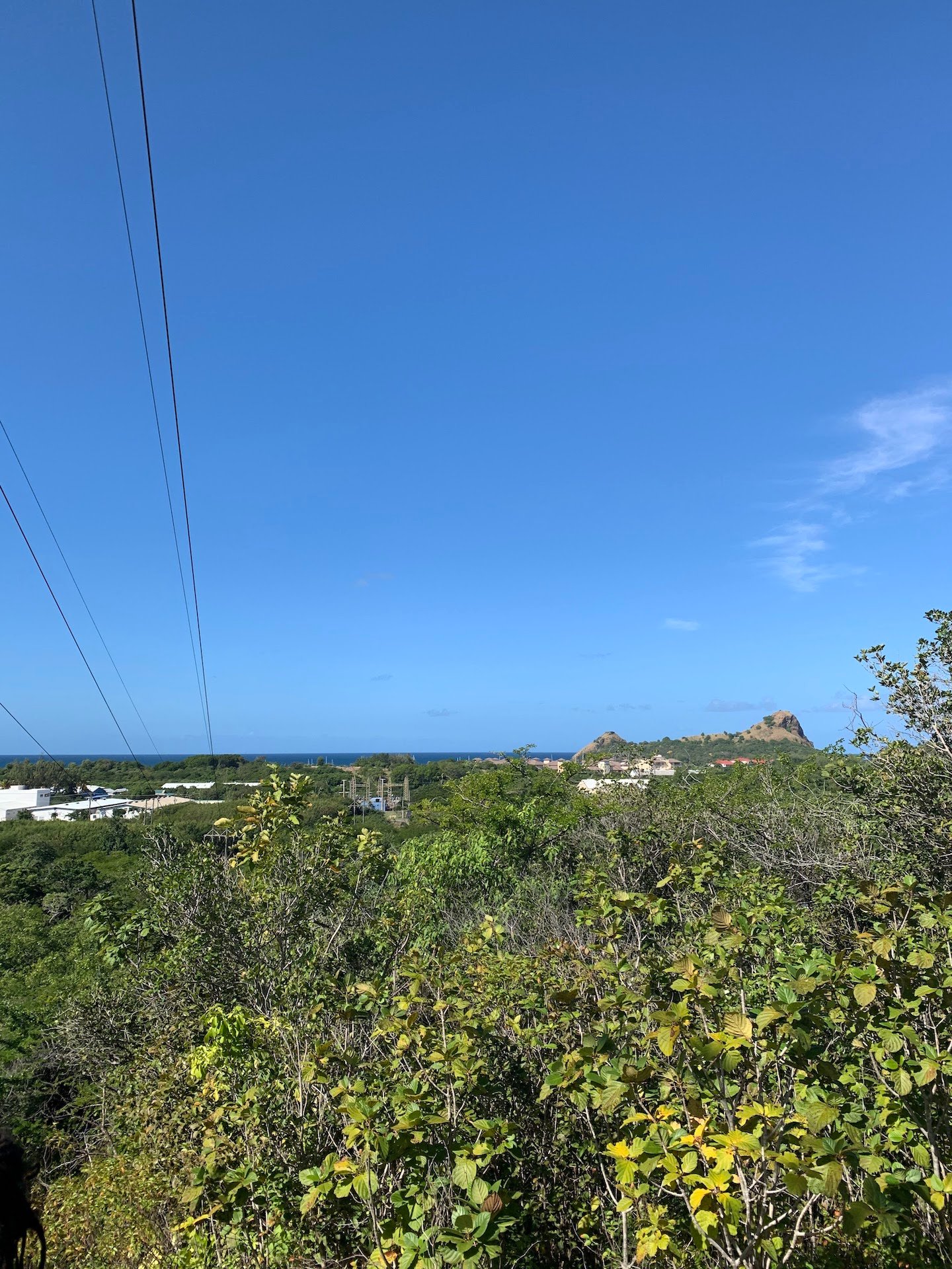10 Acres of Investment Land with View for Sale in Bellvue