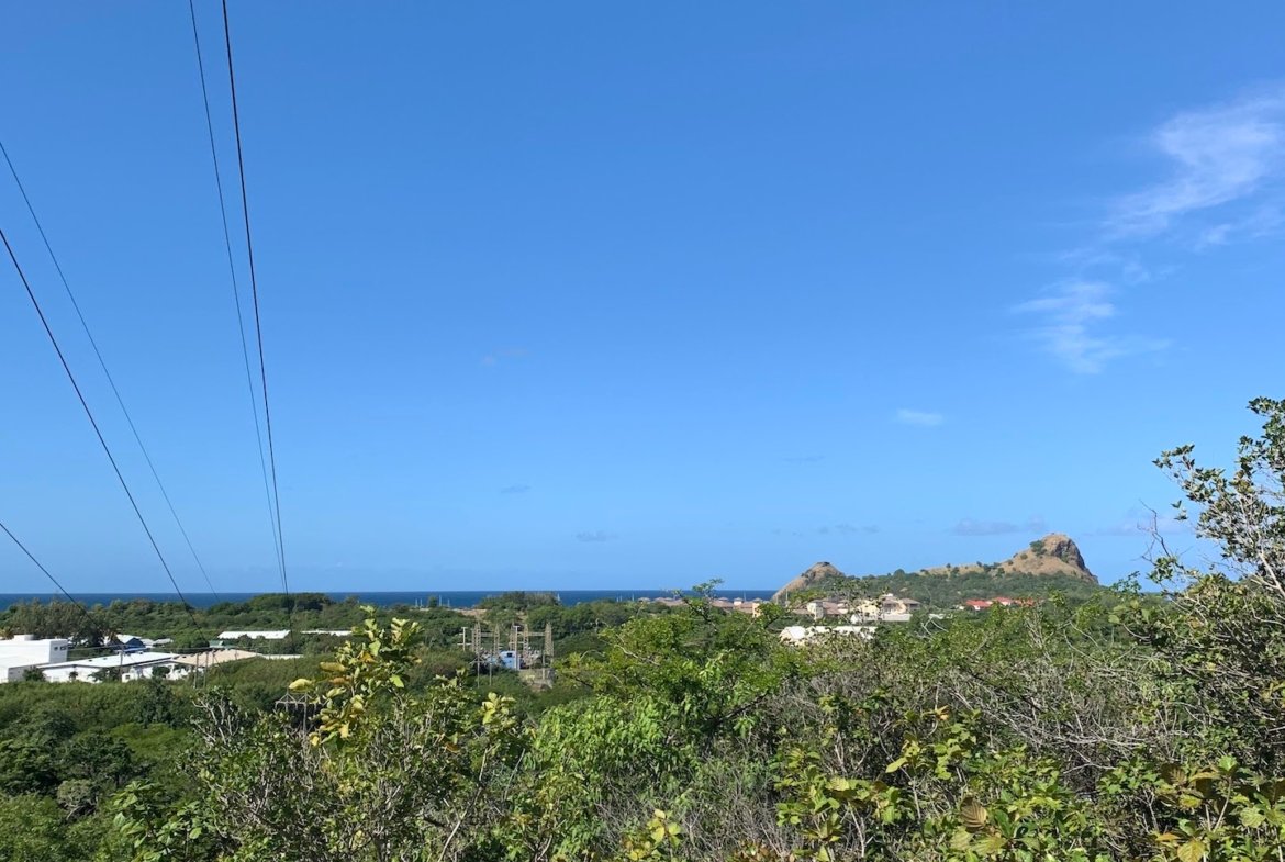 10 Acres of Investment Land for Sale in Bellvue