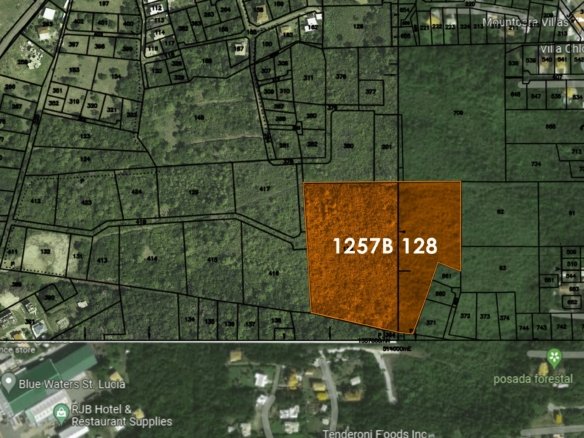Satellite - 10 Acres of Land for Sale in Bellvue
