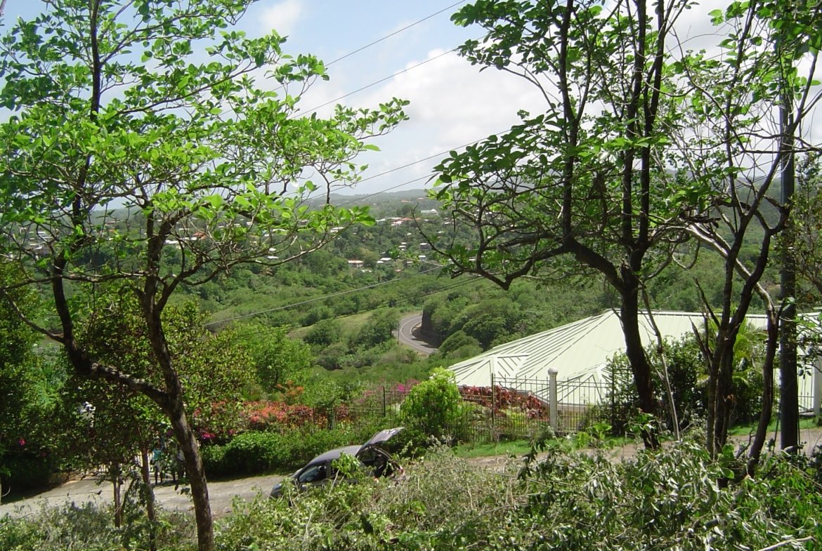 Land for Sale in Established Subdivision in Dennery 8