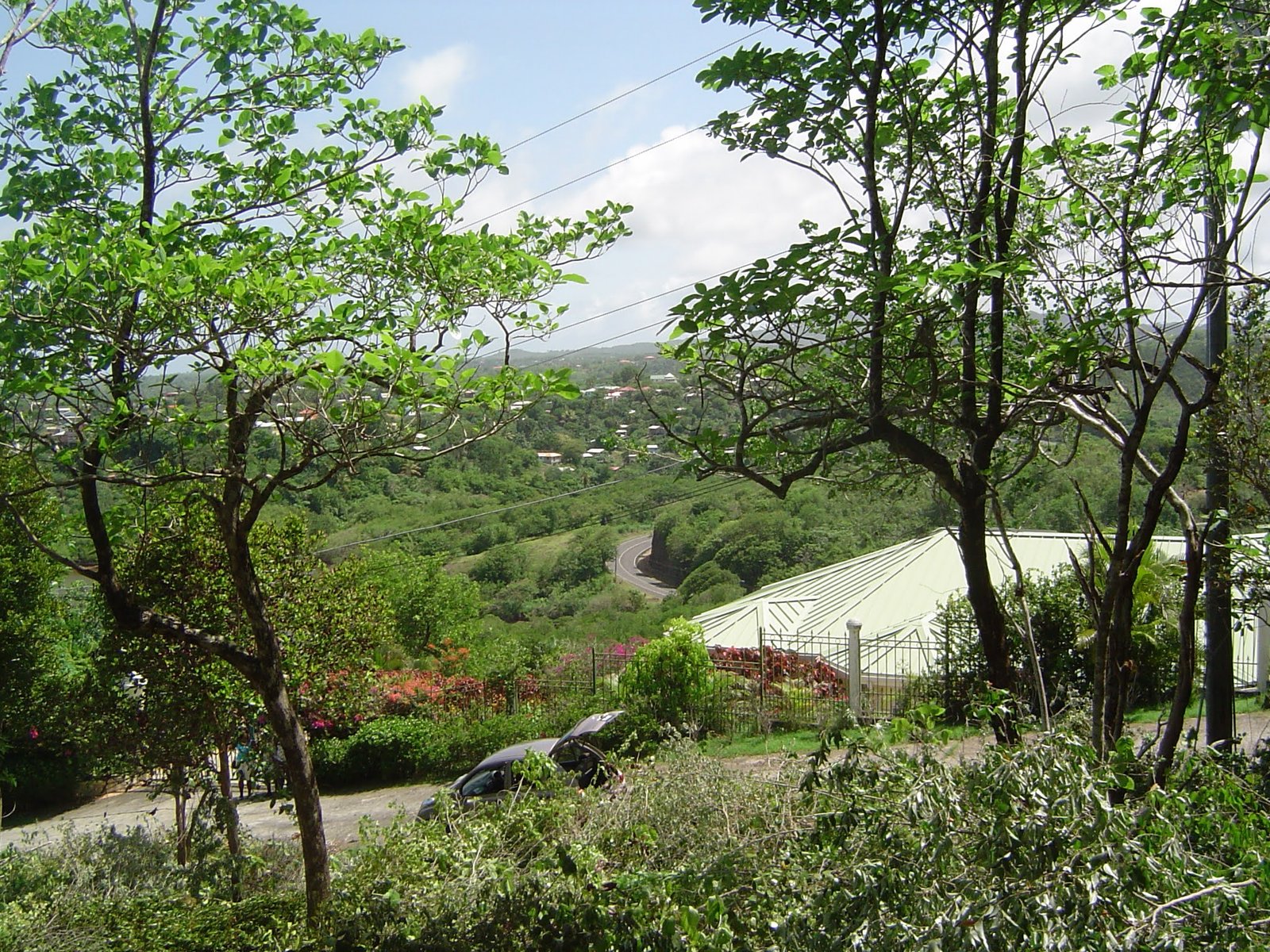 Land for Sale in Established Subdivision in Dennery 8