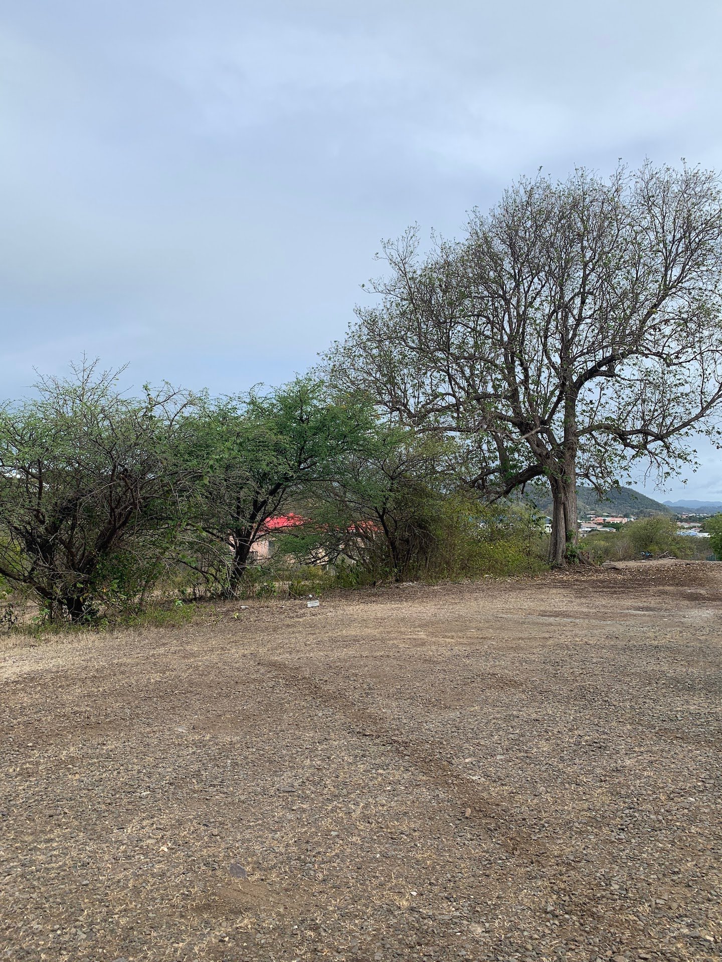 Land for Sale in Bellvue