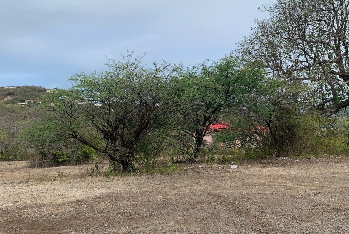 Land for Sale in Bellvue