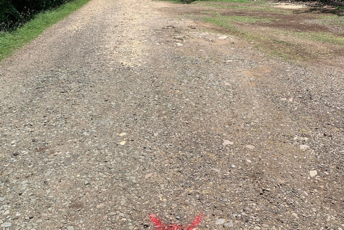 Residential Land for Sale in Bellvue