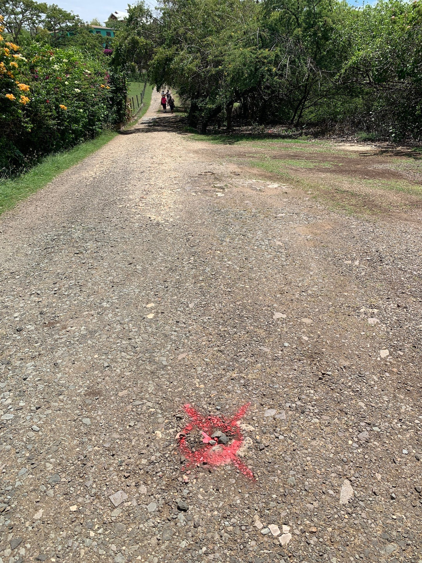 Residential Land for Sale in Bellvue
