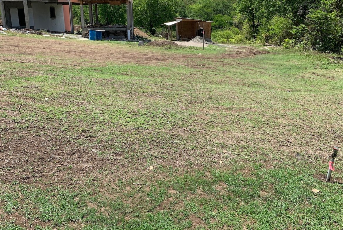 Investment Property for Sale in Bellvue