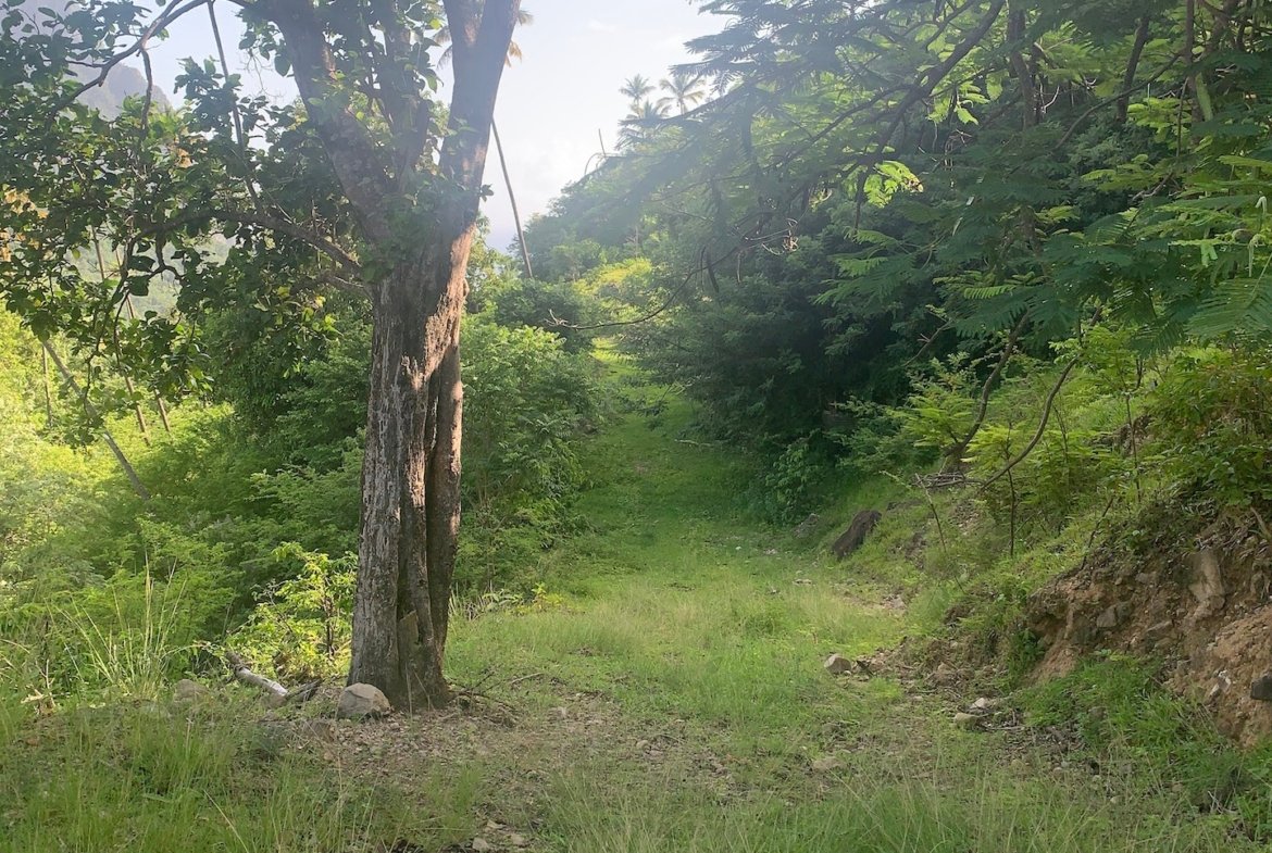 30 acres of land for sale in Soufriere