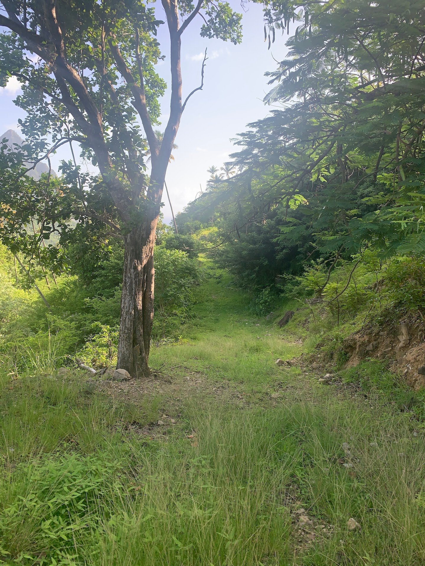 30 acres of land for sale in Soufriere