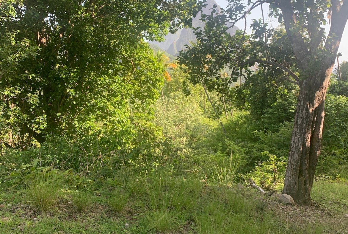 30 acres of land for sale in Saint Lucia