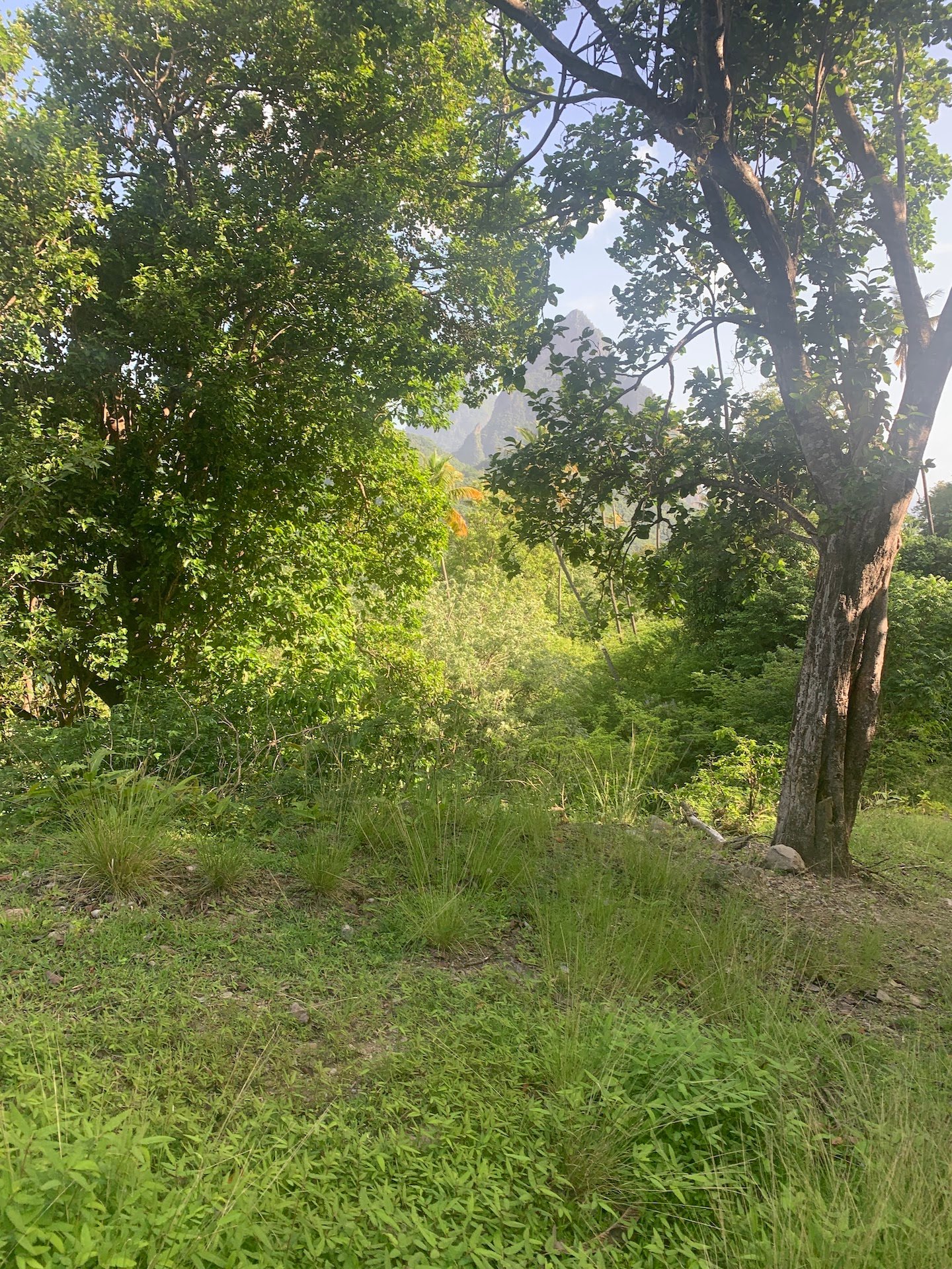 30 acres of land for sale in Saint Lucia