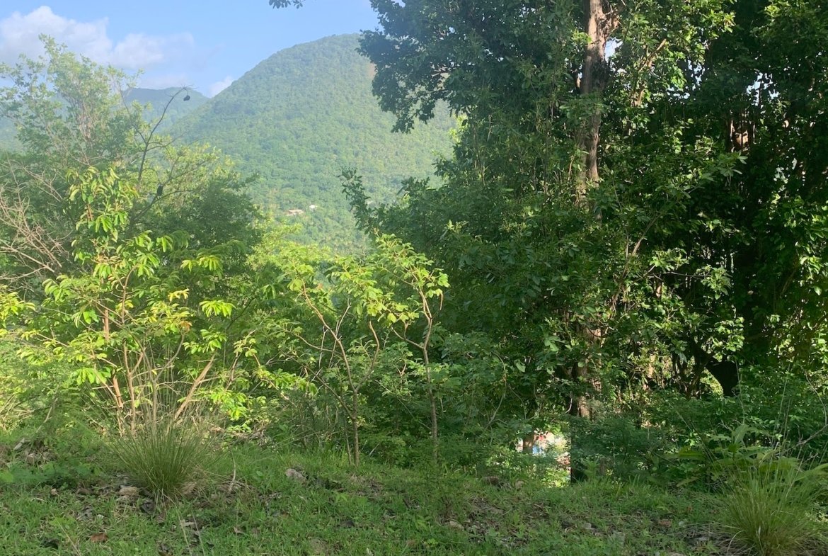 30 acres of Investment land for sale in Soufriere