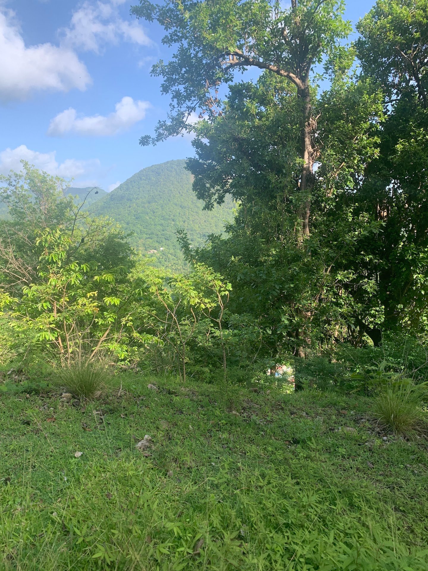 30 acres of Investment land for sale in Soufriere